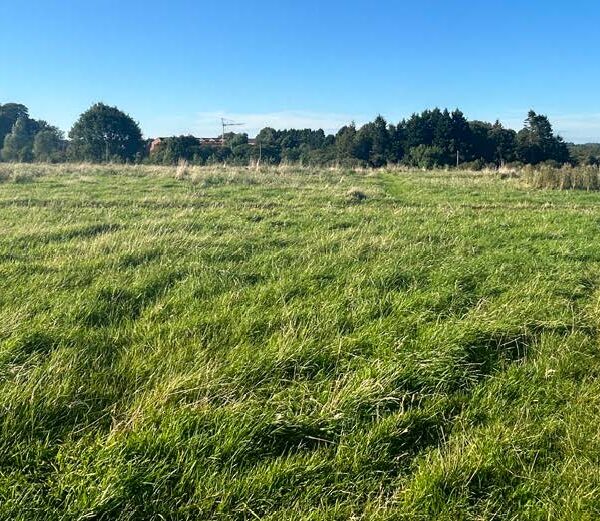 Former Ballykeel Playing Fields, Crebilly Road - v dgn.jpeg