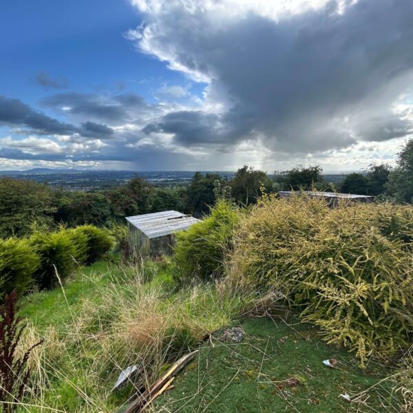 1 Bensons Road, Lisburn - Image 3
