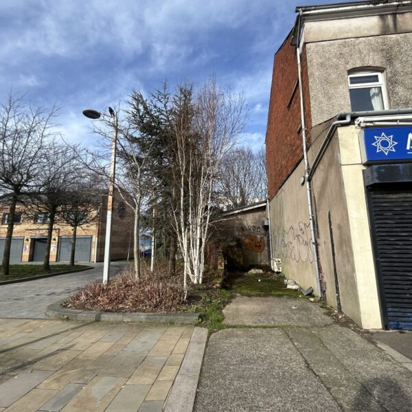 Land at Madison Avenue East & Westminster Avenue, Belfast - IMG_9013.JPG